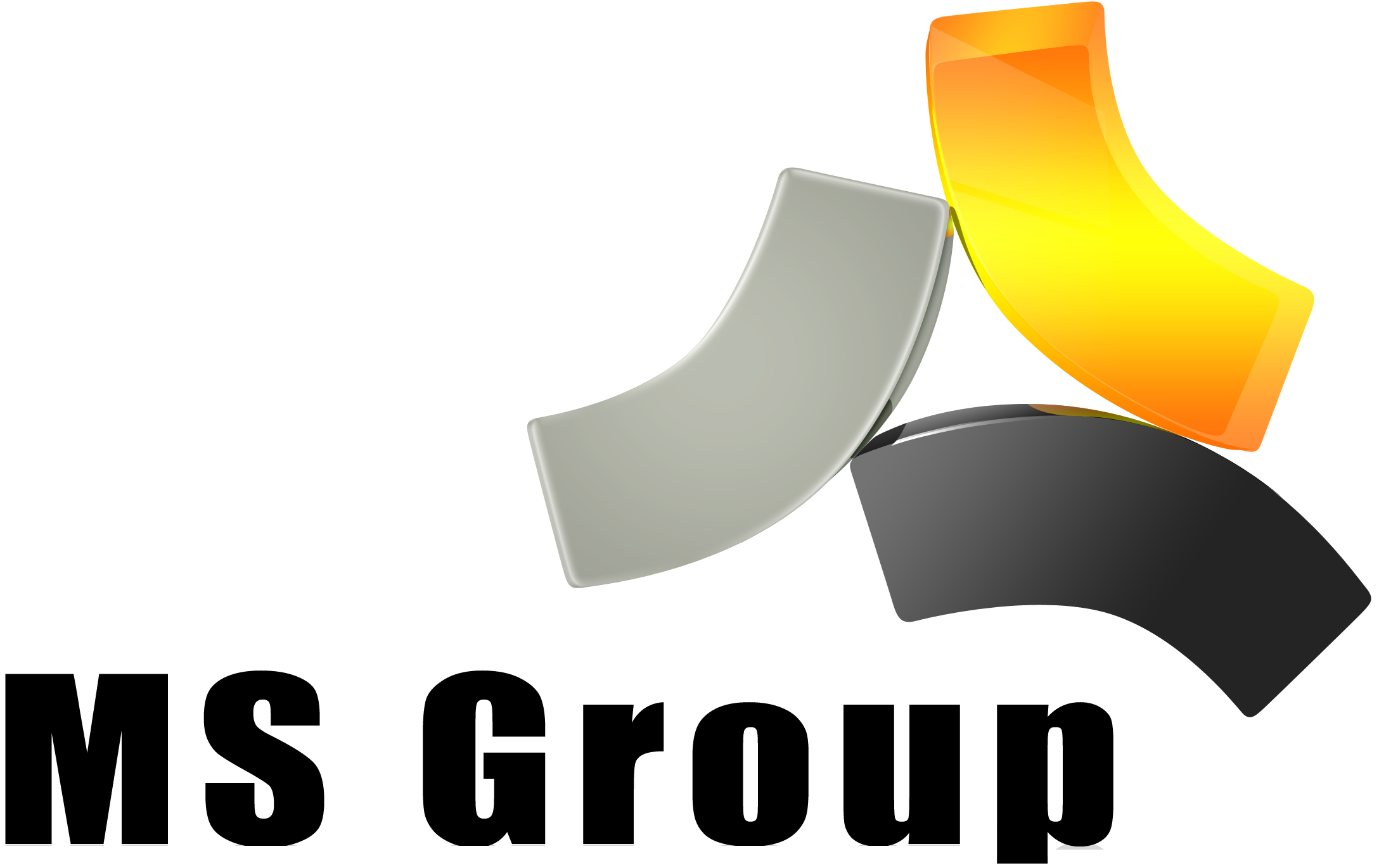 MS Group Oficial 2011